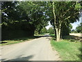 Whepstead Road towards Hawstead Green