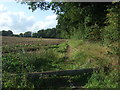 Track beside woodland off Horringer Road (A143)