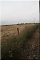 Fields by the light railway track south of Dymchurch