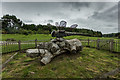 Dragon Fly Sculpture, Delamere Forest