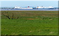 TA2121 : View across the salt marsh and the Humber estuary by Mat Fascione