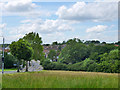 Grassland by Whitchurch Road, Harold Hill