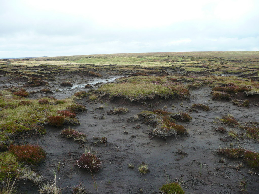 Wet moorland on Dean Head Moss,... © Humphrey Bolton :: Geograph ...