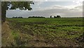 Farmland at Foston