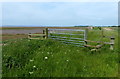 TA1823 : Gate on the Humber bank at Paull Holme Sands by Mat Fascione