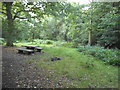 Picnic area on Stanmore Common