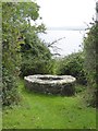 R6984 : The Holy Well on Inis Cealtra (Holy Island) by Oliver Dixon