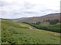 NS8919 : Bracken-covered hillside, Glendowran Hill by Alan O'Dowd