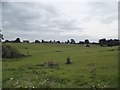 Field by Churchfield Road, Tewin