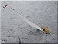 TQ0083 : Black Park Model Boat regatta - yacht heels over in wind by David Hawgood