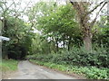 Tewin Hill near Bramfield