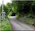 Cefn Crib Road ascends away from Hafodyrynys