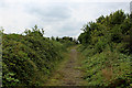 Track on the Western Flanks of Barn Hill