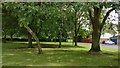 Green space on Iona Way in Countesthorpe