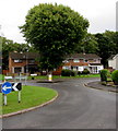 Row of houses behind a tree, Beaumaris Drive, Llanyravon, Cwmbran