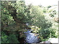 The Trassey River above the Trassey  Bridge