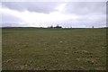 Grassland, Faulds