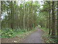 Cycle route alongside the A166