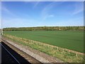 View from a Reading-Swindon train - Field near Lowerfield Farm