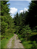 SN6650 : Forestry road south-west of Llyn y Gwaith in Ceredigion by Roger  D Kidd