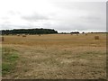 Arable land north of Eshott Birnie