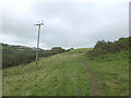 Path to Cleave Wood from Challacombe Hill