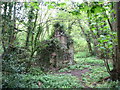 Derelict building in woodland near Nant Felyn-blwm