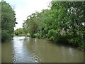 The north Oxford Canal at Brownsover, Rugby