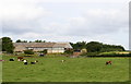 Cattle Grange Farm