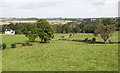 Grazing near Newton-le-Willows