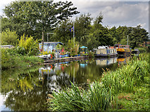 SD4616 : Leeds and Liverpool Canal, Spark Bridge Moorings near Rufford by David Dixon