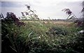 Old rail track St Helens to Brading