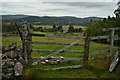 NH8101 : Gateway at Insh, Cairngorms by Andrew Tryon
