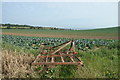 View over Cabbages