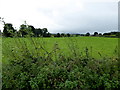 Glasmullagh Townland