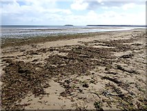 X0874 : Seaweed-strewn beach by Oliver Dixon