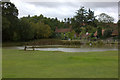 Shenfield Common pond