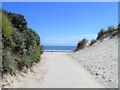 T1941 : The way to the beach [2] by Michael Dibb