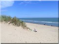 T1941 : The view from atop the dunes [1] by Michael Dibb