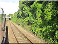 Plymouth The Elms Over Railway Line