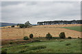 Harvested fields, Kildrummy...