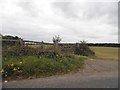 Fields by Bragbury Lane