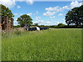 Farm machinery & silage near Orchard Farm