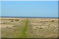 Grass path to beach, Lade