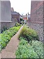 Alleyway from Gore Park Road to St. Mary