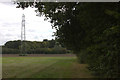 Bridleway and pylon by Primstock wood