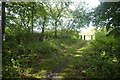 Path, Lainshaw