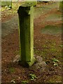 Column in St Mary