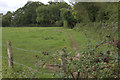 Hertfordshire Way near Place Farm