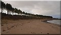 Beach west of Yellow Craig